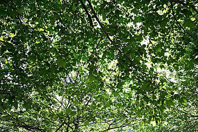 IGN评选《使命》系列最佳单机战役TOP10